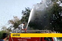 जारी है टिड्डी दलों का हमला, छह राज्यों में मचाया आतंक जारी है टिड्डी दलों का हमला, छह राज्यों में मचाया आतंक