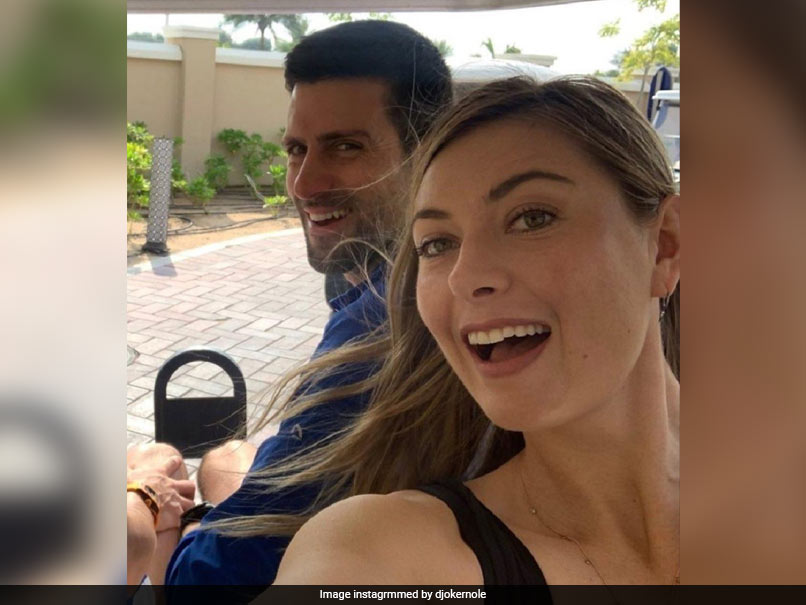 "You Were Fanboying": How Novak Djokovic Got Maria Sharapova To Buy Him Dinner