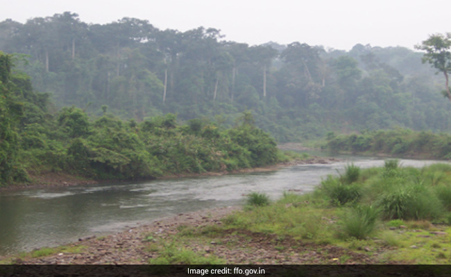 No "Final Clearance" Given To Extract Coal From Dehing Patkai Forest: Assam