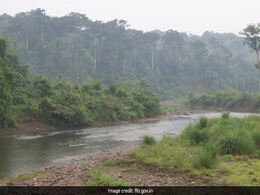 No "Final Clearance" Given To Extract Coal From Dehing Patkai Forest: Assam No "Final Clearance" Given To Extract Coal From Dehing Patkai Forest: Assam