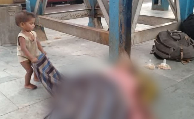 "Shocking": Court On Video Of Baby Near Dead Mother At Bihar Station