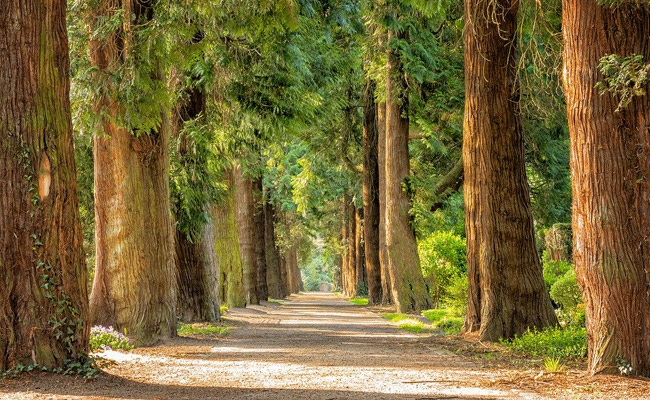 International Day For Biological Diversity 2022: All You Need To Know