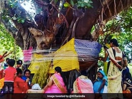 Vat Savitri Vrat 2025: कब किया जाएगा वट सावित्री का व्रत, जानें सही तारीख, पूजा विधि और व्रत कथा Vat Savitri Vrat 2025: कब किया जाएगा वट सावित्री का व्रत, जानें सही तारीख, पूजा विधि और व्रत कथा