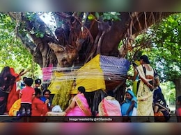 व्रत के नियमों के पालन से ही मिलता है पूरा लाभ, जानिए वट सावित्री से जुड़ी सारी मान्यताएं व्रत के नियमों के पालन से ही मिलता है पूरा लाभ, जानिए वट सावित्री से जुड़ी सारी मान्यताएं