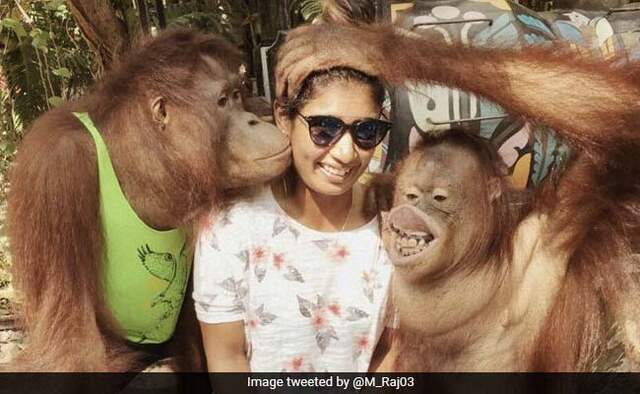 Mithali Raj posts photo on social media fans says saying, I love your cover drives Mithali Raj posts photo on social media fans says saying, I love your cover drives