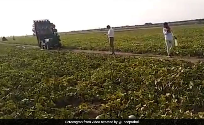 Watch: "DJ" On UP Field Plays Loud Music To Fight Locusts