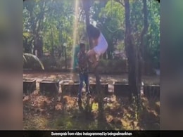 जैकलिन फर्नांडीज पेड़ पर चढ़ती आईं नजर, सलमान खान के फार्महाउस पर ऐसी जिंदगी जी रही हैं एक्ट्रेस- देखें Video जैकलिन फर्नांडीज पेड़ पर चढ़ती आईं नजर, सलमान खान के फार्महाउस पर ऐसी जिंदगी जी रही हैं एक्ट्रेस- देखें Video