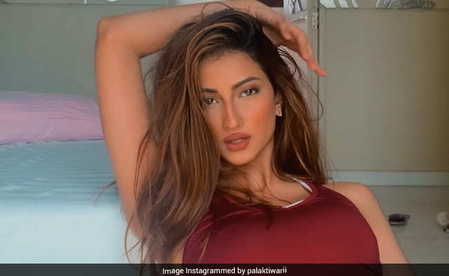 श्वेता तिवारी की बेटी पलक तिवारी ने कराया फोटोशूट, ग्लैमरस लुक में आईं नजर- देखें Photo