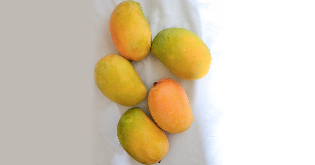 Is It Safe To Have Mangoes If You Have Diabetes?