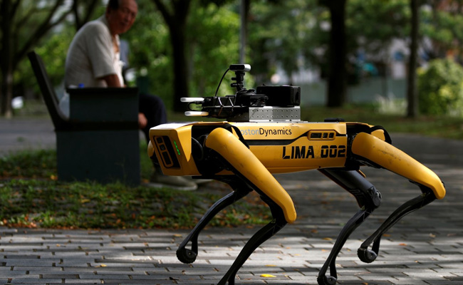 "Let's Keep Singapore Healthy": Roaming Robodog Tells Goers To Stay Apart