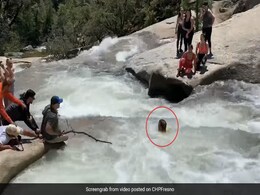 नदी में भंवर में फंस गया शख्स, मौत को छूकर 'टक' से आया वापस - देखें पूरा Video नदी में भंवर में फंस गया शख्स, मौत को छूकर 'टक' से आया वापस - देखें पूरा Video