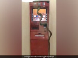 ATM जाएं तो थोड़ा संभल के: अचानक से निकला सांप, लाइन में खड़े लोग देखकर हुए हैरान- देखें Video ATM जाएं तो थोड़ा संभल के: अचानक से निकला सांप, लाइन में खड़े लोग देखकर हुए हैरान- देखें Video