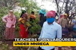 Teachers, Techie Who Made 1 Lakh Turn MGNREGA Labourers Amid Pandemic Teachers, Techie Who Made 1 Lakh Turn MGNREGA Labourers Amid Pandemic