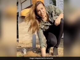 यूलिया वंतूर ने सलमान खान के फॉर्म हाउस पर लगाए पौधे, इंटरनेट पर Video हुआ वायरल यूलिया वंतूर ने सलमान खान के फॉर्म हाउस पर लगाए पौधे, इंटरनेट पर Video हुआ वायरल