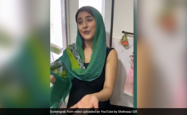 लॉकडाउन में खूब धूम मचा रहे हैं शहनाज गिल के ये TikTok Video, पंजाब की कैटरीना बोलीं- मुझे बाहर जाना है...