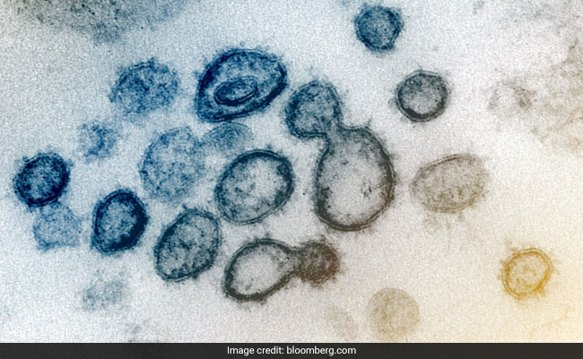 Coronavirus variants: B.1.1.7 and B.1.351 variants have been found to have increased transmissibility