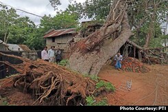 Top News Of The Day: 72 Dead In Bengal Due To Cyclone Amphan Top News Of The Day: 72 Dead In Bengal Due To Cyclone Amphan