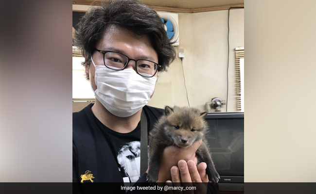 Man Asks For Twitter's Help To Find Owner Of Lost Puppy, Gets A Surprise