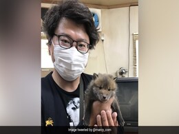 Man Asks For Twitter's Help To Find Owner Of Lost Puppy, Gets A Surprise Man Asks For Twitter's Help To Find Owner Of Lost Puppy, Gets A Surprise