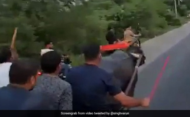 भैंस को डंडे मारकर दौड़ाया तो आगे जाकर जानवर ने ऐसे लिया बदला, हवा में उड़ गए लोग... देखें Viral Video