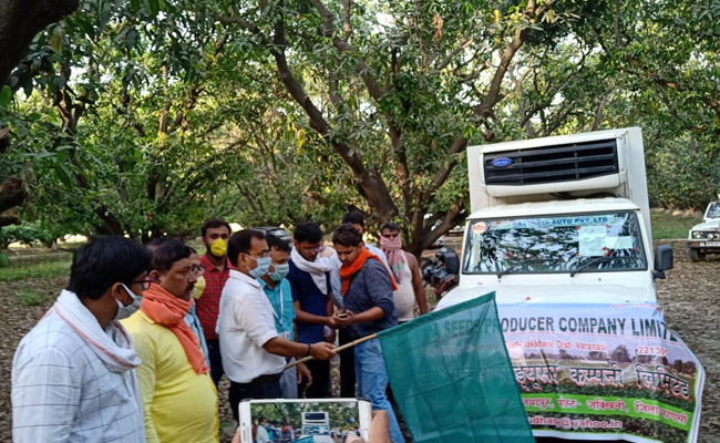 पीएम के संसदीय क्षेत्र का लंगड़ा और दशहरी आम निकला दुबई के सफर पर, लंदन भेजने की भी है तैयारी..