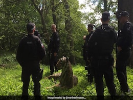 घर के पीछे दिखा शेर तो लोगों ने बुलाई पुलिस, बंदूक लेकर पास पहुंचे तो निकली ये चीज घर के पीछे दिखा शेर तो लोगों ने बुलाई पुलिस, बंदूक लेकर पास पहुंचे तो निकली ये चीज