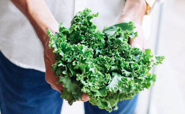 Benefits Of Kale: केल एक सुपरफूड है, जिसको खाने से 7 जबरदस्त फायदे मिलते हैं, आपको आज से ही शुरू करना चाहिए सेवन
