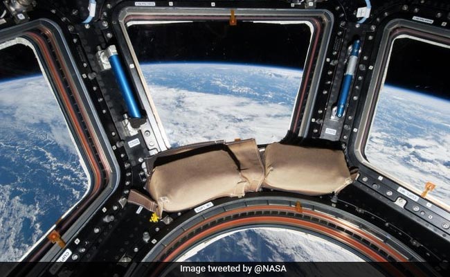 NASA's Late-Night Twitter Exchange On Space Snack, WiFi And A July Date