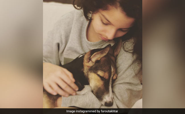 Farhan Akhtar Loves This Pic Of Daughter Akira And Pet Dog Tyson