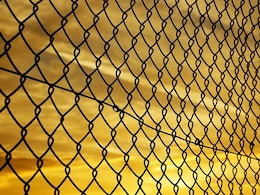 Pak Nationals Holding No-Obligation Visa Allowed To Cross Over To India