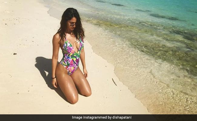Disha Patani Sun-Bathing On A Beach, 'Nuff Said. See Pic