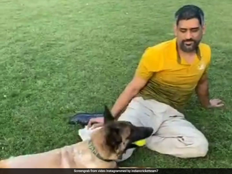 एमएस धोनी ने पूरी तरह बदला लुक, पहली बार फ्रेंच कट में सामने आए, VIDEO हुआ वायरल