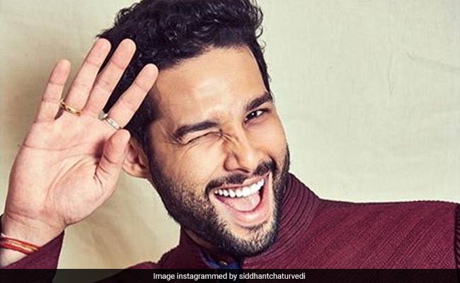 "<I>Usme Bhi Struggle Hai</I>:" Siddhant Chaturvedi's Response To Fan Deserves Its Own Meme