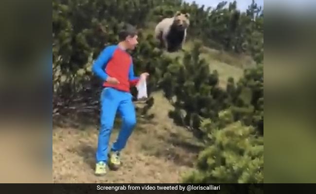 Scary Video Shows Bear Following Boy. Watch How He Avoided An Attack