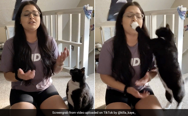 लड़की ने गाया इतना बेसुरा गाना, गुस्से में बिल्ली ने उठाए पैर और फिर... देखें TikTok Viral Video