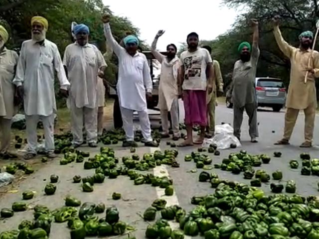 Amid Lockdown, Farmers Forced To Throw Their Produce In Punjab