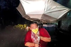 Rescue Teams In Kolkata Scramble To Clear Fallen Trees As Cyclone Amphan Batters Bengal Rescue Teams In Kolkata Scramble To Clear Fallen Trees As Cyclone Amphan Batters Bengal