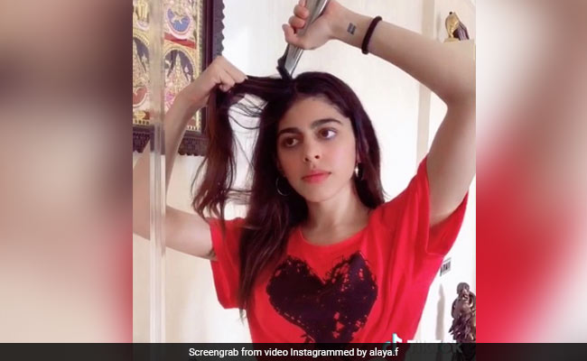 "Never Have I Ever": Alaya Furniturewalla Takes Up ROFL TikTok Challenge