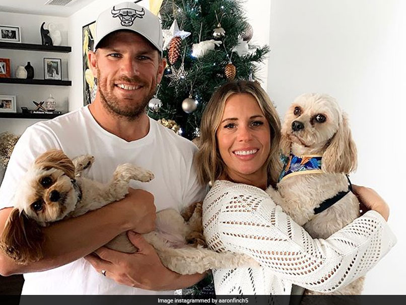 "Even The Dog Cant Stand My TikToks": Watch Aaron Finchs Adorable Video