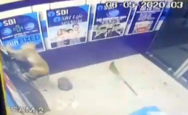 VVIP इलाके में बंदर ने ATM के अंदर मचाया आतंक, मस्ती-मस्ती में कर डाला ये काम - देखें CCTV Video