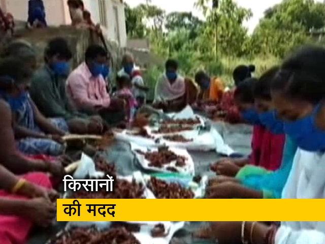 Rang De ने आंध्र प्रदेश के इमली किसानों तक पहुंचाई मदद