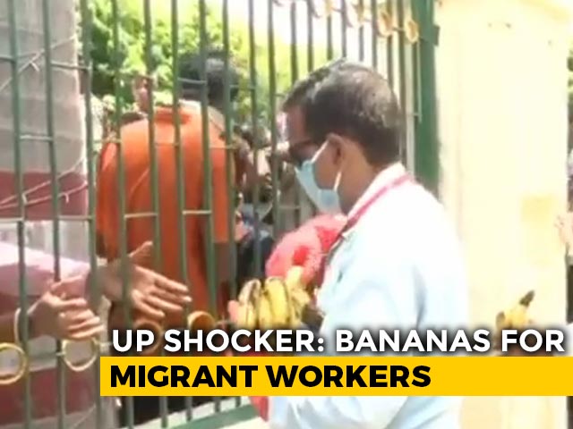 On Camera, Migrant Workers Jostle For Bananas At UP's Prayagraj
