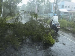 Calcutta High Court Rejects Bengal's Plea Over Cyclone Amphan Relief Audit Calcutta High Court Rejects Bengal's Plea Over Cyclone Amphan Relief Audit