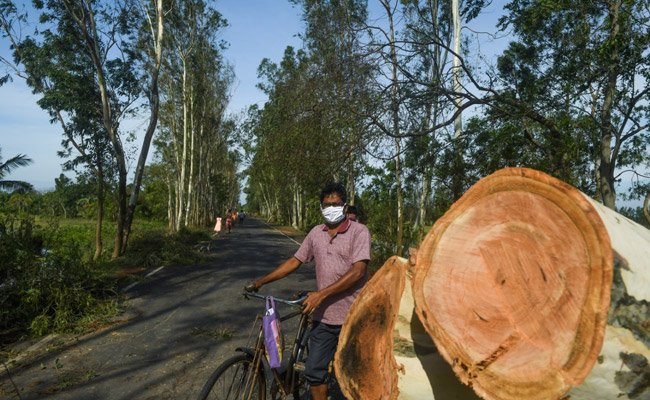 At Least 12 Dead As Cyclone Amphan Wrecks Parts Of Bengal: 10 Points