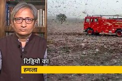 देस की बात रवीश कुमार के साथ : कहीं का नहीं छोड़ता टिड्डी दल देस की बात रवीश कुमार के साथ : कहीं का नहीं छोड़ता टिड्डी दल