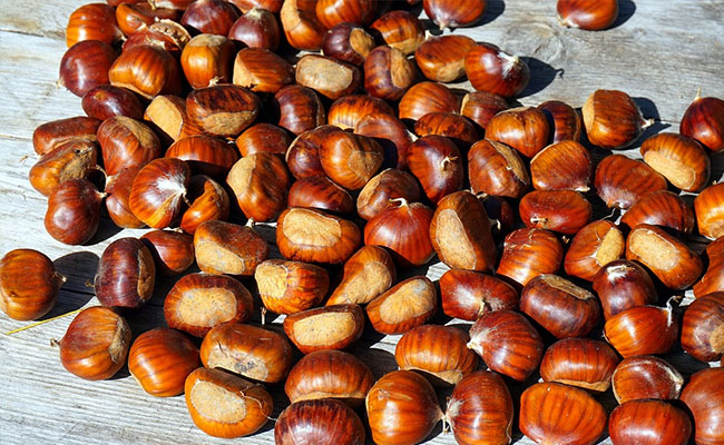 4 Reasons Why You Should Add Chestnuts To Your Diet According To Nutritionist