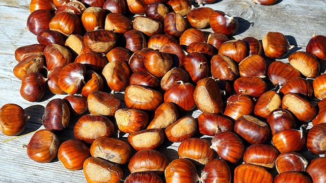 Nutrition: Chestnuts are delicious, versatile, and easy to add to your diet