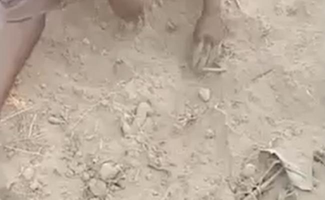 Faint Cries Led To Baby Boy Found Buried In UP, Foot Was Sticking Out