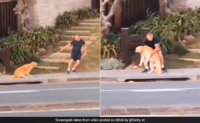 Millions Can Relate To This Dog Who Is "Sick Of Quarantine". Watch