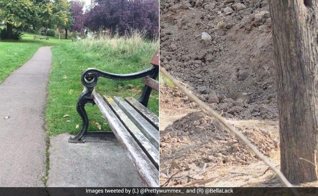 Full Marks If You Can Spot All The Animals Camouflaged In These Pics